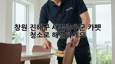 창원 진해구 새집증후군? 카펫 청소로 해결하세요!
