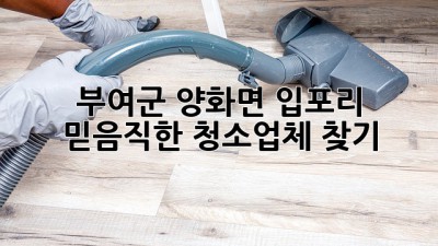 부여군 양화면 입포리, 믿음직한 청소업체 찾기!
