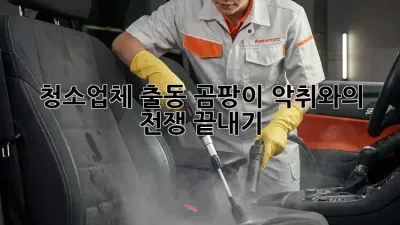 청소업체 출동: 곰팡이, 악취와의 전쟁 끝내기