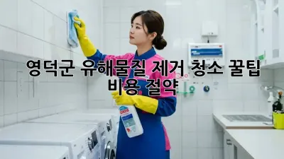 영덕군 유해물질 제거 청소 꿀팁🍯 비용 절약!